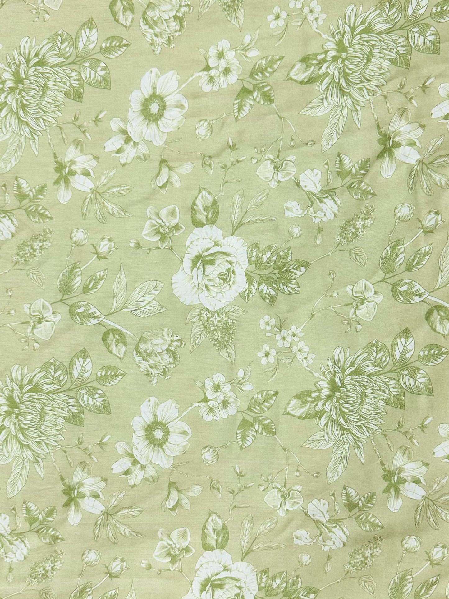 Floral pattern with white flowers and green leaves on a light green background